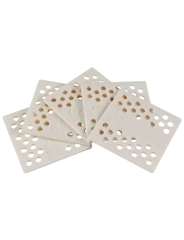 MAXSPECT - Katalizator denitrifikacije - 5 komada - Za anaerobni blok