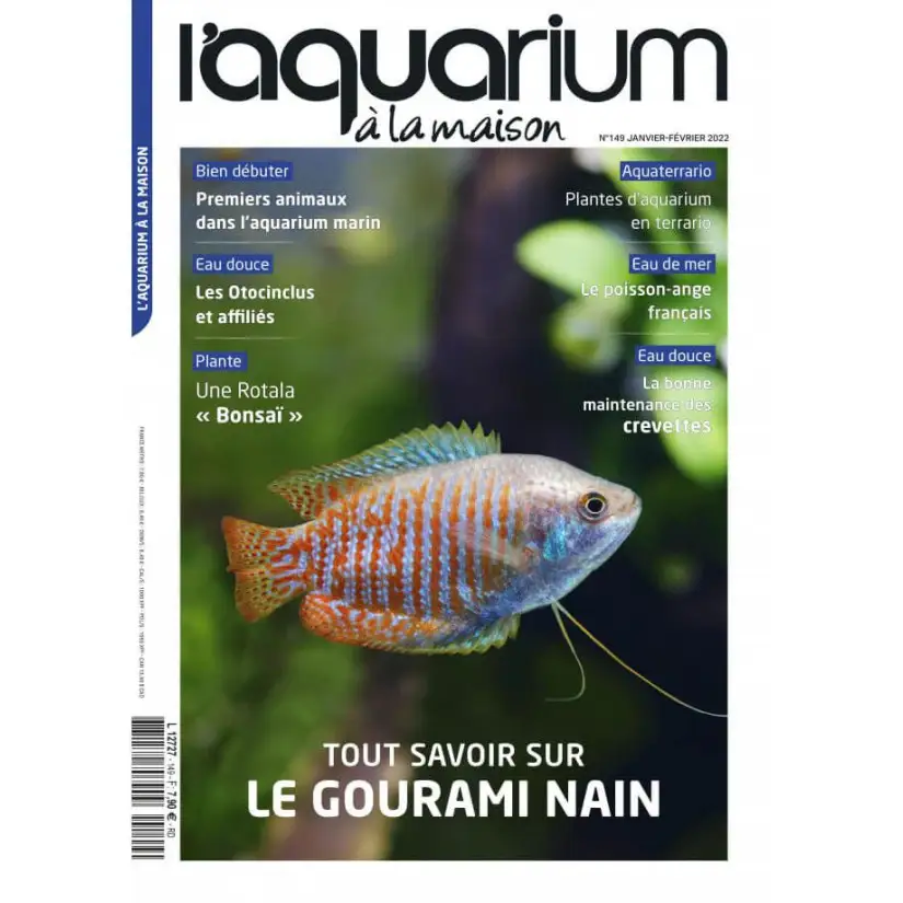 bien debuter en aquariophilie