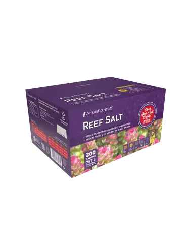 AQUAFOREST - Caja de Sal de...