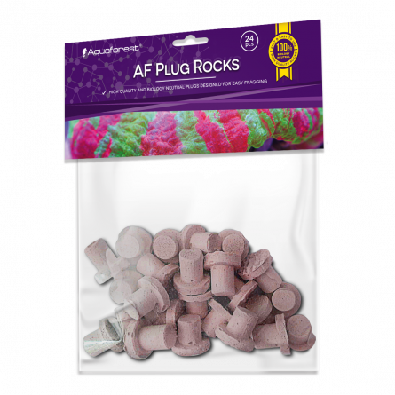 AQUAFOREST - Af Plug Rock Purple - Pack of 24 cuttings plugs