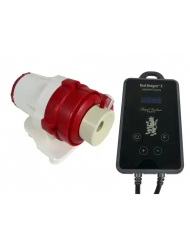 ROYAL EXCLUSIV – Red Dragon...