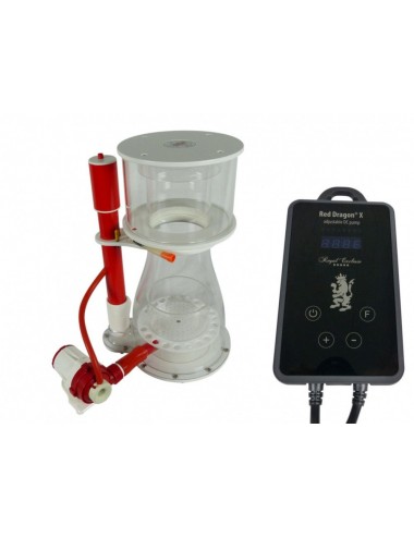 ROYAL EXCLUSIV - Double...