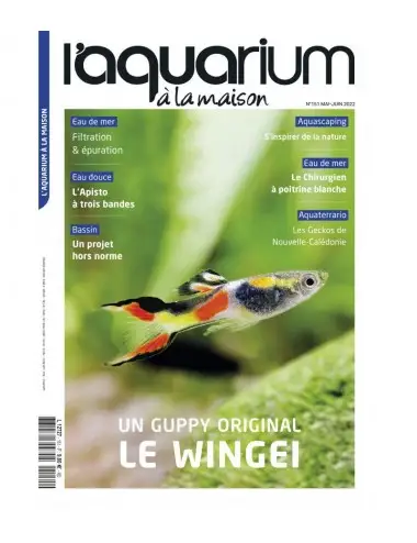 Das Aquarium zu Hause – Ausgabe 151 – Mai-Juni 2022