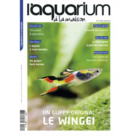 L'Aquarium à la maison - Numéro 151 - Mai-juin 2022