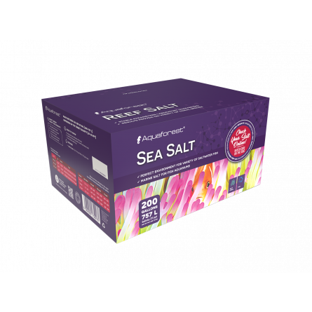 AQUAFOREST - Sea Salt Box - 25Kg - Carton of sea salt