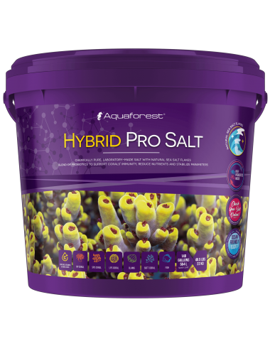 AQUAFOREST – Hybrid-Profisalz – 22 kg – Hybrid-Riffsalz