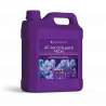 AQUAFOREST - AF luchtwassermedia - 2000 ml - Kooldioxide-absorber AQUAFOREST - AF luchtwassermedia - 2000 ml - Kooldioxide-absorber