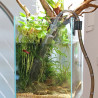 JBL - Proclean Aqua Ex - 20-45 cm - Cloche à vase pour aquarium