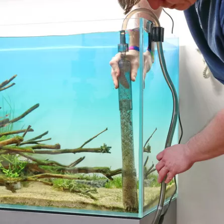 JBL - Proclean Aqua Ex - 45-70 cm - Zvono za vazu za akvarij