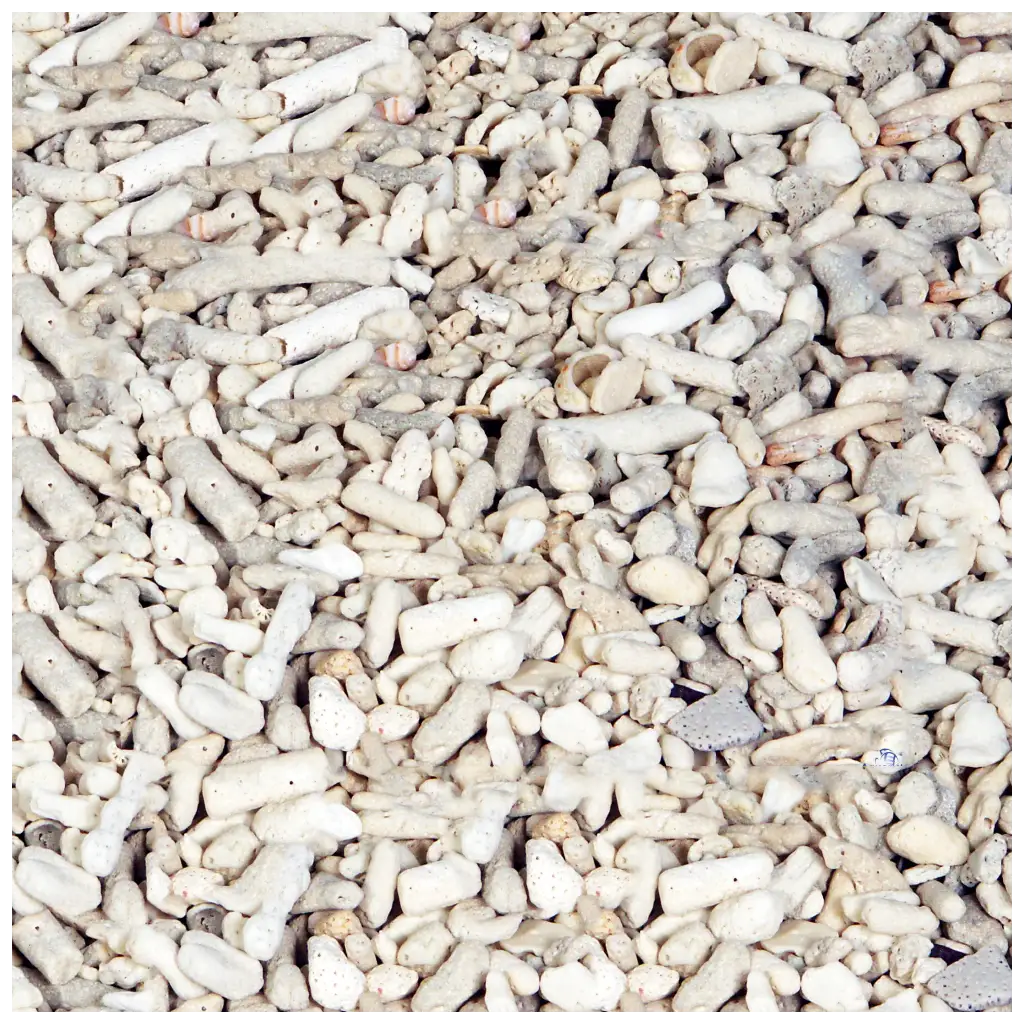 Corail concassé - taille 10-20 mm - Vendu au kilo