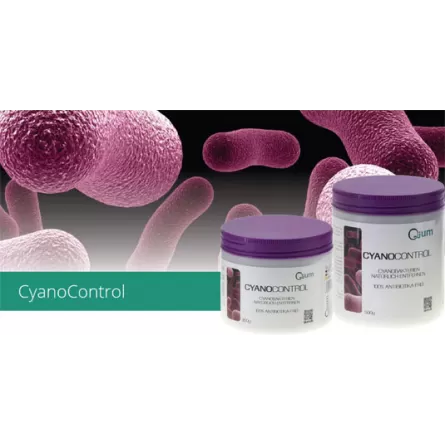QIUM - CyanoControl - Élimine les cyanobactéries - 150gr