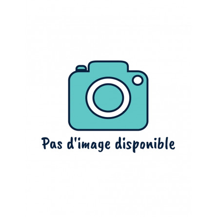 GHL - Carte mère pour Pompes doseuses GHL - Carte mère pour Pompes doseuses