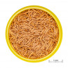 JBL - Pronovo Betta insect - Stick S - 100 ml - Sticks voor vechters