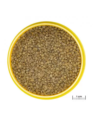 JBL - Pronovo Gourami - Grano S click - 250 ml - Korrels voor goerami's van 3 tot 10 cm