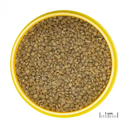 JBL - Pronovo Gourami - Grano S click - 250 ml - Korrels voor goerami's van 3 tot 10 cm