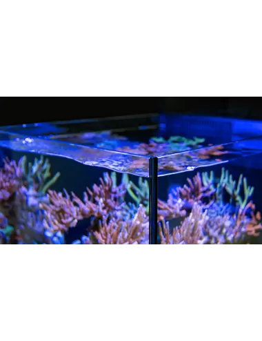 RODE ZEE - Max Nano - Schiereiland - 100 L - Zwarte kast - Alles-in-één aquarium