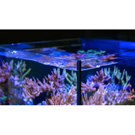 BIỂN ĐỎ - Max Nano - Bán đảo - 100 LBIỂN ĐỎ - Max Nano - Bán đảo - 100 L  