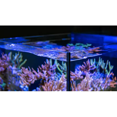 RODE ZEE - Max Nano - Schiereiland - 100 L - Zwarte kast - Alles-in-één aquarium