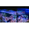 RED SEA - Max Nano - Peninsula - 100 L - Black cabinet - All-in-one aquarium