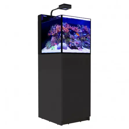 RED SEA - Max Nano - Península - 100 L - Mueble negro - Acuario todo en uno RED SEA - Max Nano - Península - 100 L - Mueble negro - Acuario todo en uno