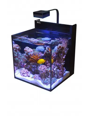 RDEČE MORJE - Max Nano - Cube - 75 L - Brez pohištva - Akvarij vse v enem