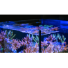 RED SEA - Max Nano - Cube - 75 L - Acquario All-in-One - Cabinet nero