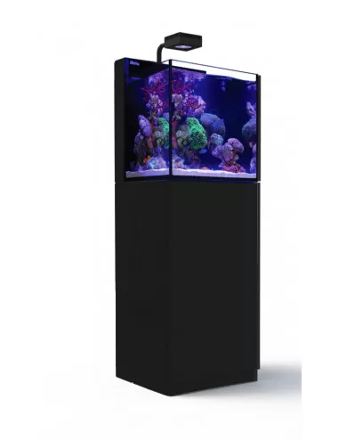 RED SEA - Max Nano - Cube - 75 L - All-in-One Aquarium - Black Cabinet