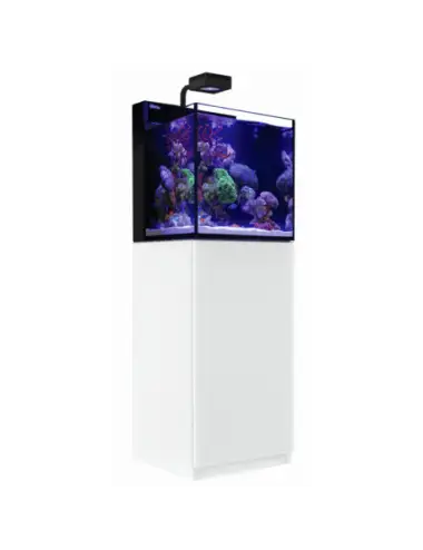 RED SEA - Max Nano - Cube - 75 L - All-in-One-Aquarium - Weißes Gehäuse