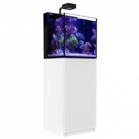 RED SEA - Max Nano - Cube - 75 L - All-in-One Aquarium - White Cabinet RED SEA - Max Nano - Cube - 75 L - All-in-One Aquarium - White Cabinet