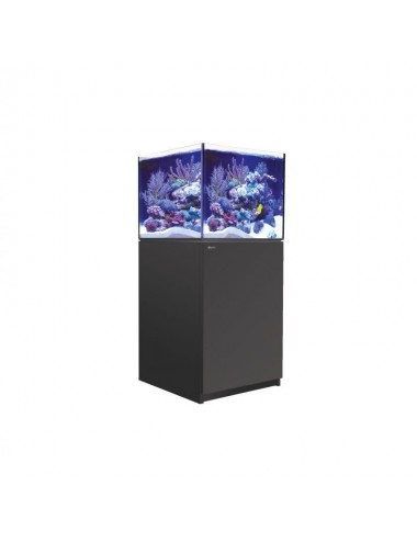 CRVENO MORE - Reefer 200 G2+ - Black - 158 litara