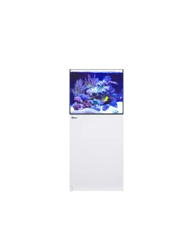 RED SEA - Reefer 200 G2 - Bianco - 158 litri