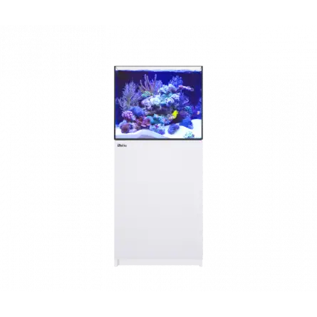 RED SEA - Reefer 200 G2 - White - 158 liters RED SEA - Reefer 200 G2 - White - 158 liters