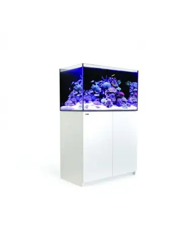 RED SEA - Reefer 250 G2 - Bianco - 250 litri