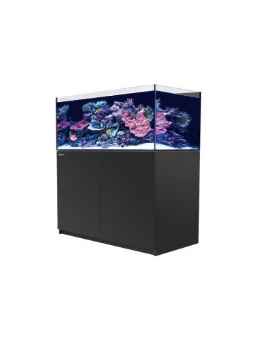 RED SEA - Reefer 425 G2 - Schwarz - 343 Liter