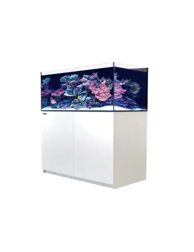 RED SEA - Reefer 425 G2 - Bianco - 343 litri