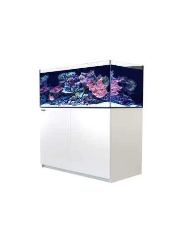 RED SEA - Reefer 425 G2 - Blanc - 343 litres