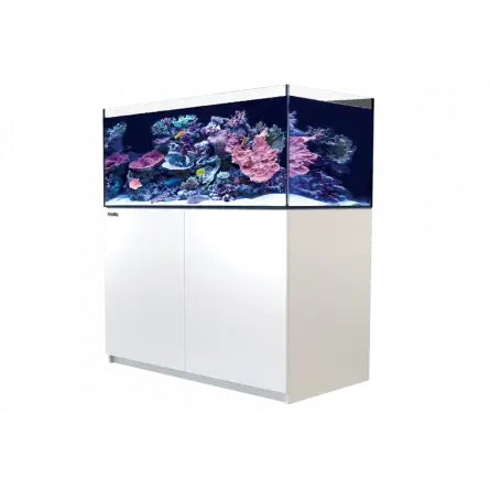 RED SEA - Reefer 425 G2 - Weiß - 343 Liter