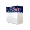 RED SEA - Reefer 425 G2 - Blanc - 343 litres