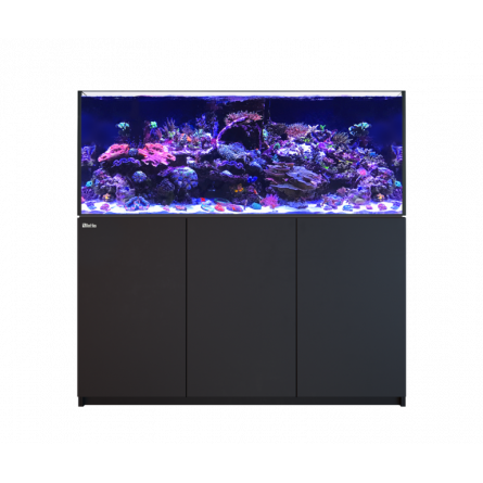 RED SEA - Reefer 625 G2 - Negro - 497 litros