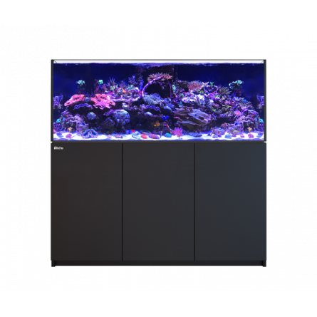 RED SEA - Reefer 625 G2 - Negro - 497 litros RED SEA - Reefer 625 G2 - Negro - 497 litros