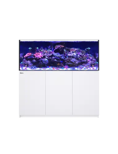 RED SEA - Kühlcontainer 625 G2 - Weiß - 497 Liter