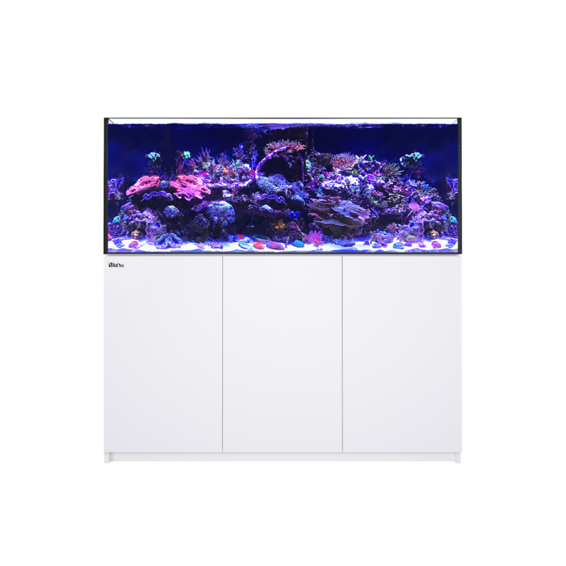 RED SEA - Kühlcontainer 625 G2 - Weiß - 497 Liter