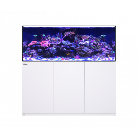 RED SEA - Reefer 625 G2 - Bianco - 497 litri