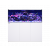 RED SEA - Reefer 625 G2 - Bianco - 497 litri