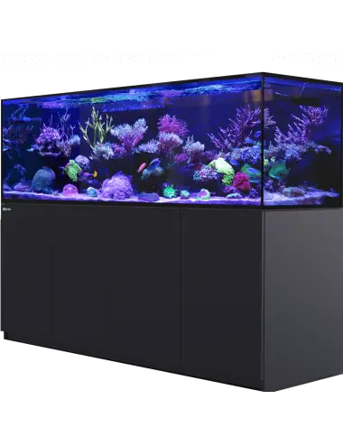 RED SEA - Reefer-S 1000 G2+ - Svart - 795 liter