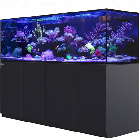 MAR ROJO - Reefer-S 1000 G2 - Negro - 795 litros MAR ROJO - Reefer-S 1000 G2 - Negro - 795 litros