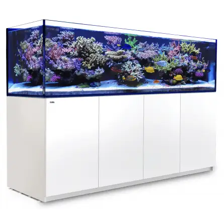 RODE ZEE - Reefer-S 1000 G2 - Wit - 795 liter RODE ZEE - Reefer-S 1000 G2 - Wit - 795 liter