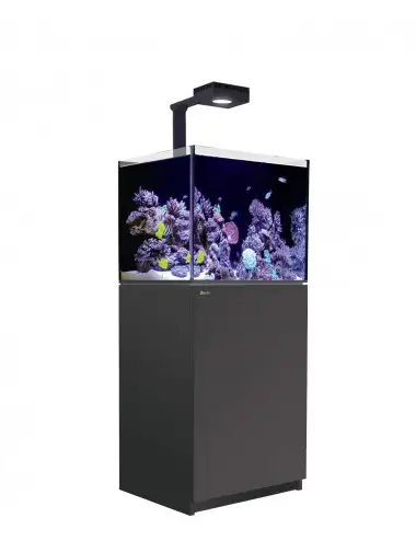 RED SEA - Reefer 170 G2 Deluxe - Negro - 128 litros - 1 ReefLED 90 y 1 potencia