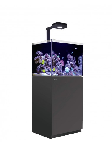 RED SEA - Reefer 170 G2 Deluxe - Preto - 128 litros - 1 ReefLED 90 e 1 haste