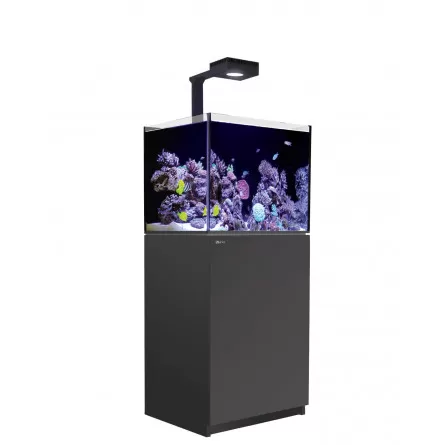 RED SEA - Reefer 170 G2 Deluxe - Black - 128 liters - 1 ReefLED 90 and 1 stem